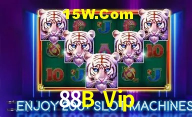 88B Vip Salvador - Statistics