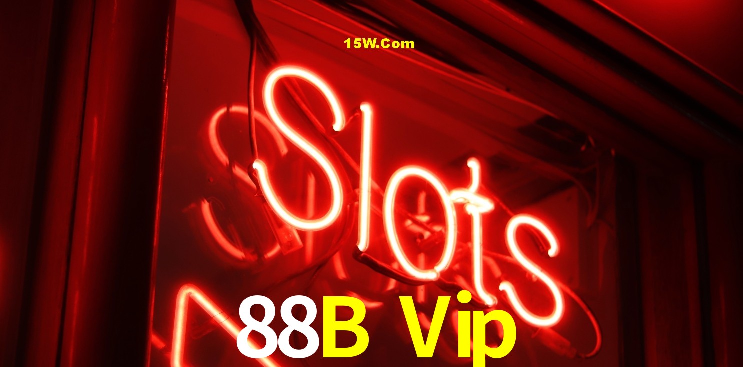 Security Systems 88B Vip