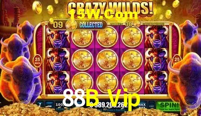 88B Vip Salvador - Strategy